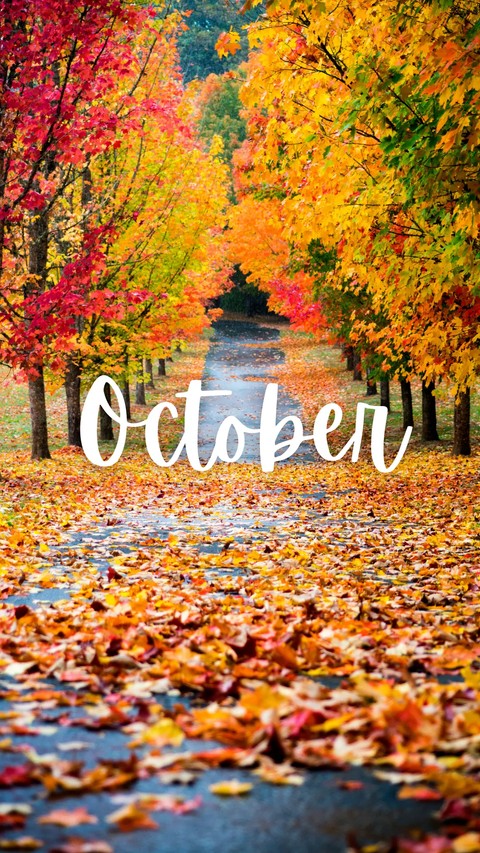 ~• October •~