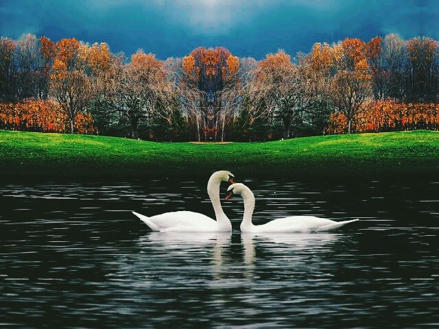 NATURE