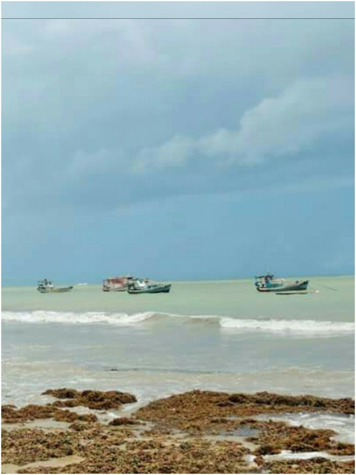 São Miguel do Gostoso - RN - Brasil