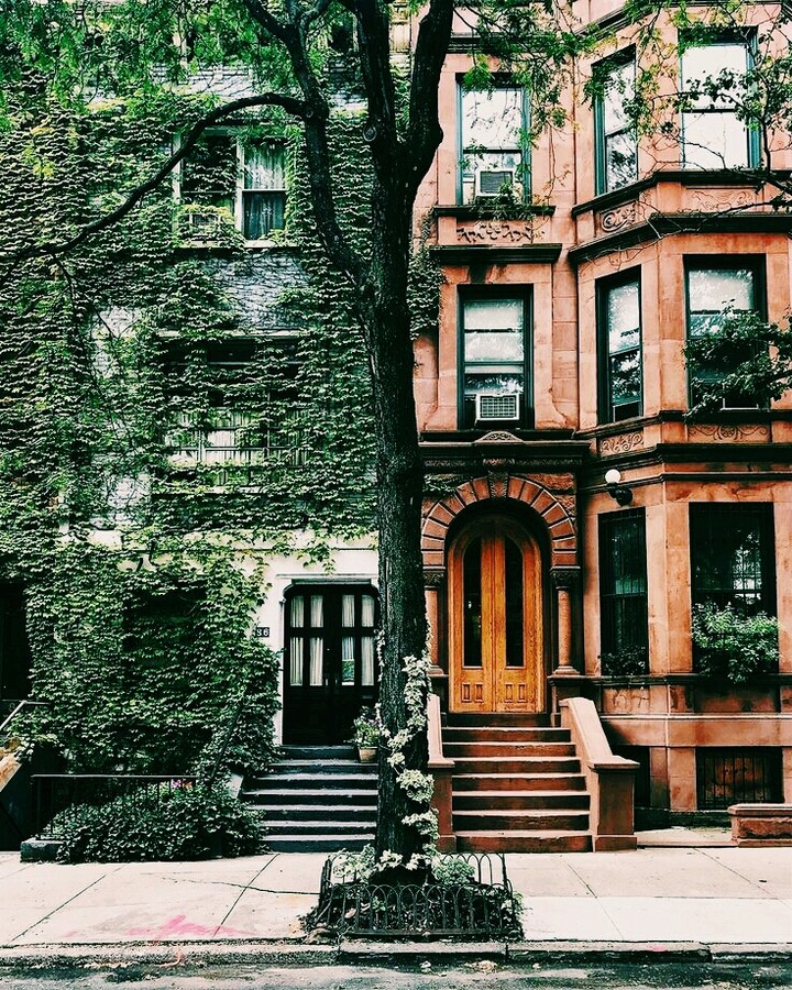 houses