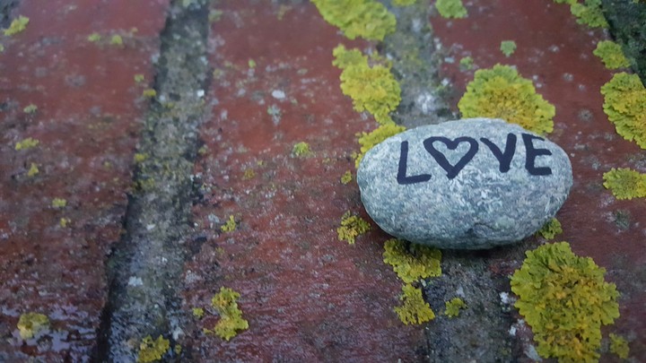 love