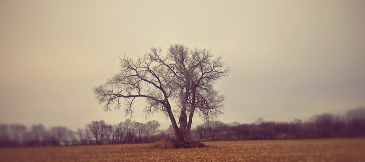 Season change in Nebraska