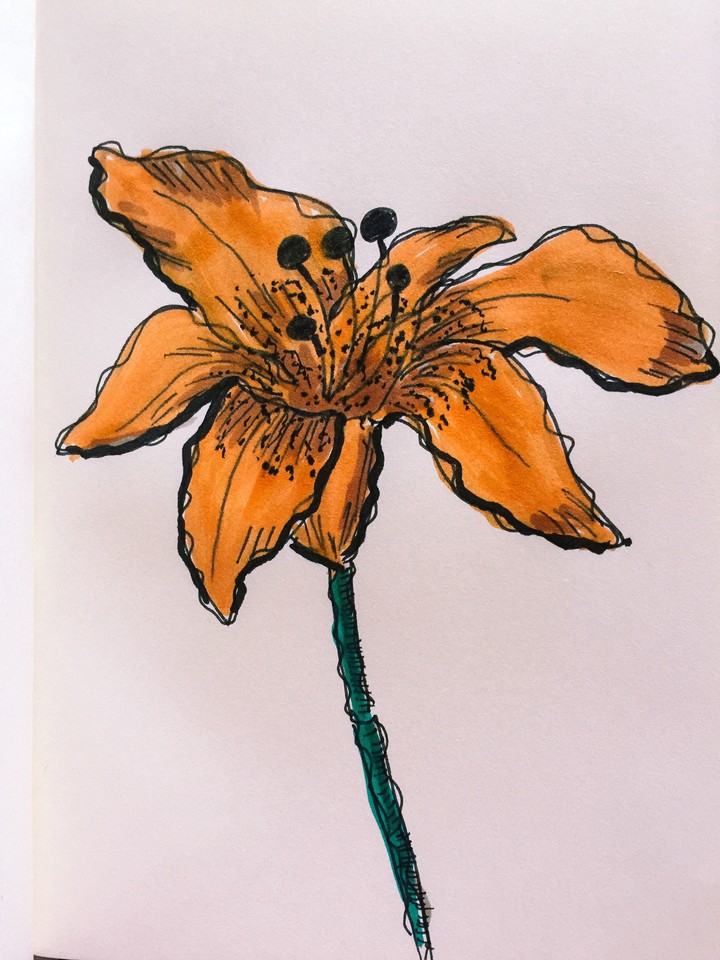 flower