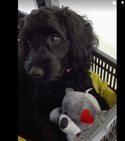 Play with me