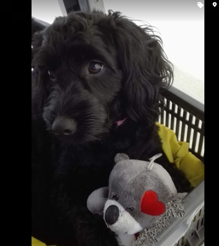 Play with me