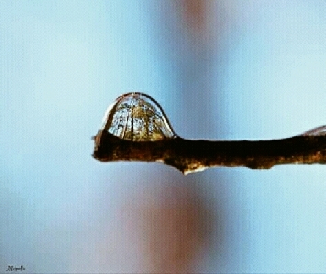 Microworld