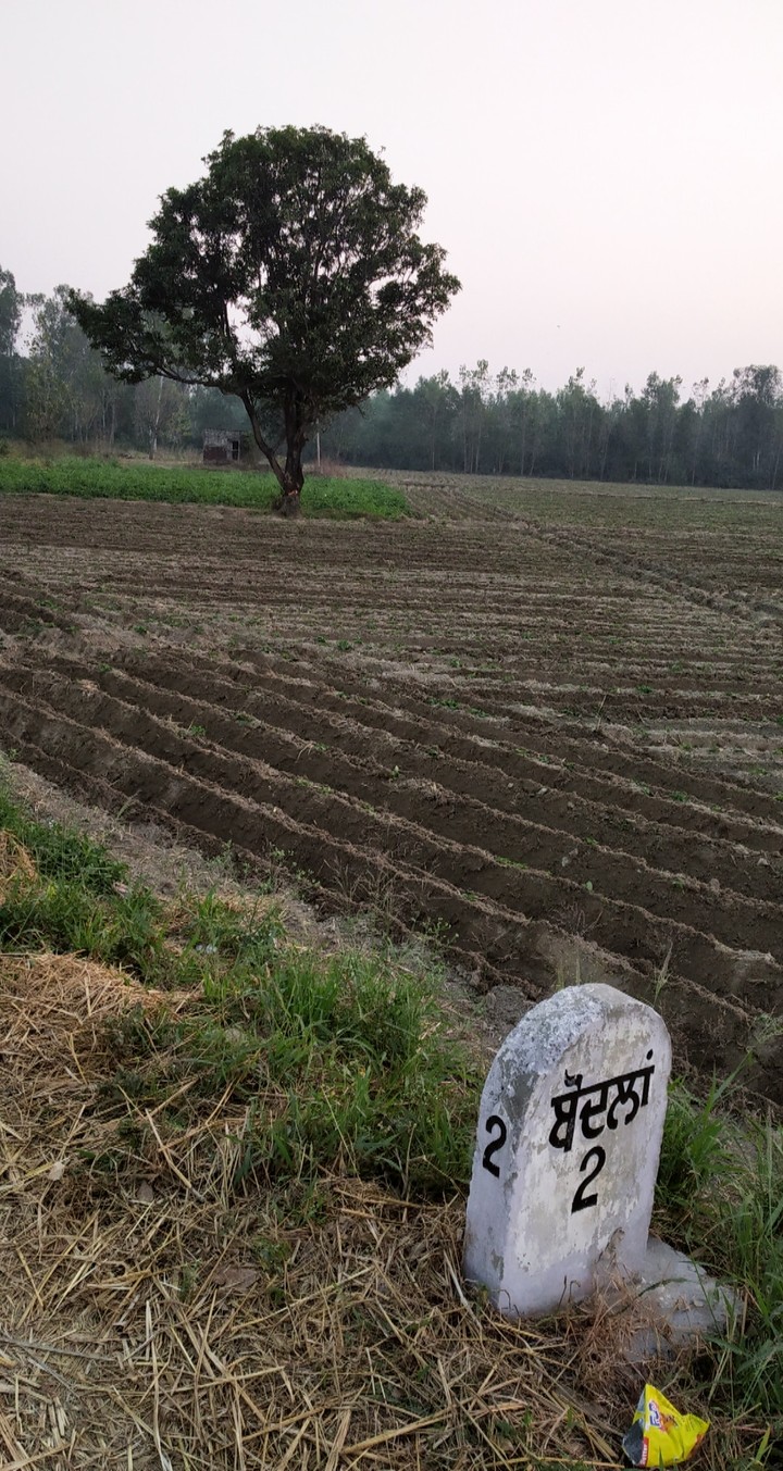 fields