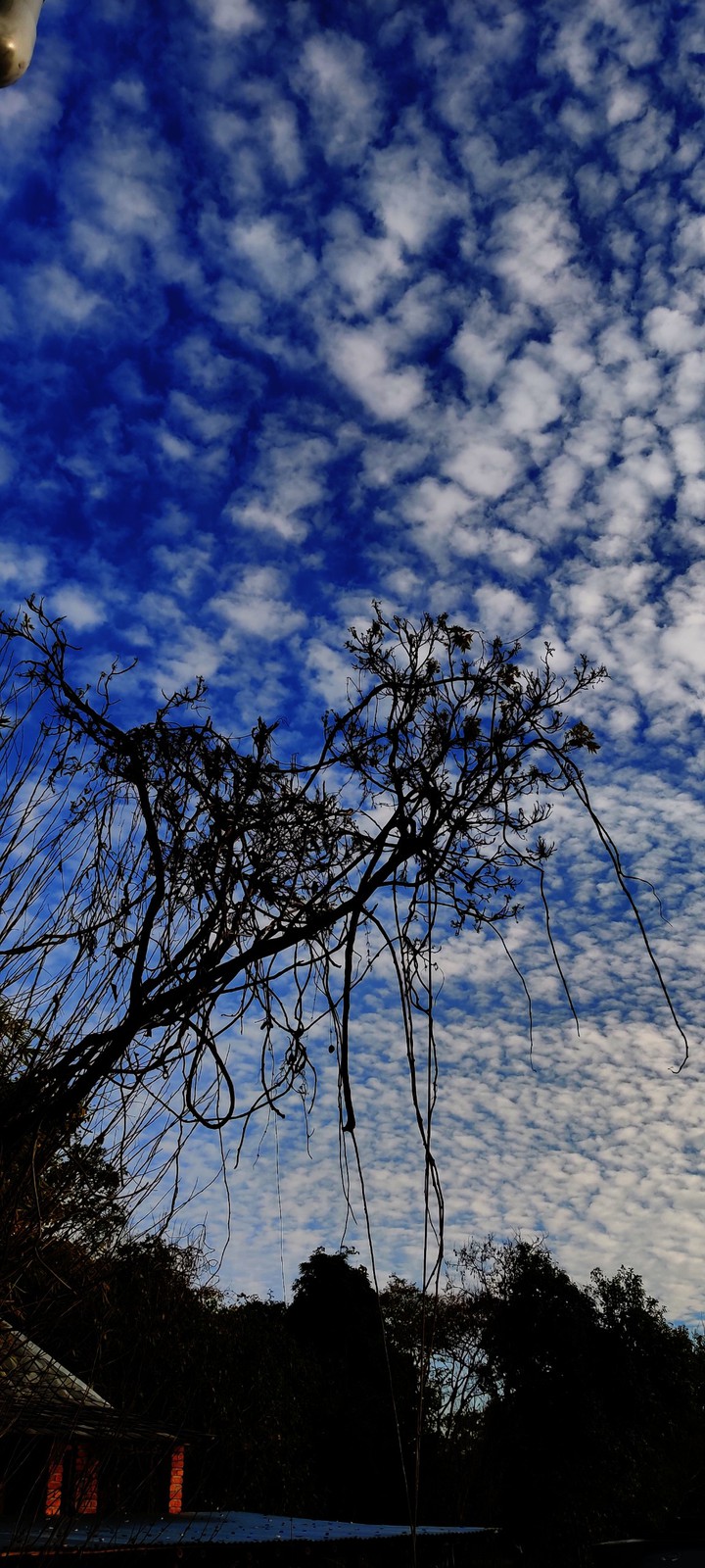 Cloudy Sky
