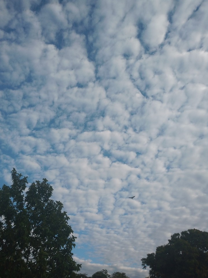 Céu Azul