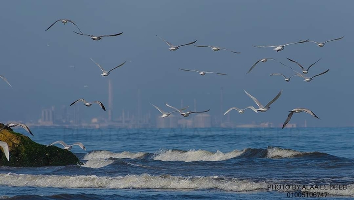 port said