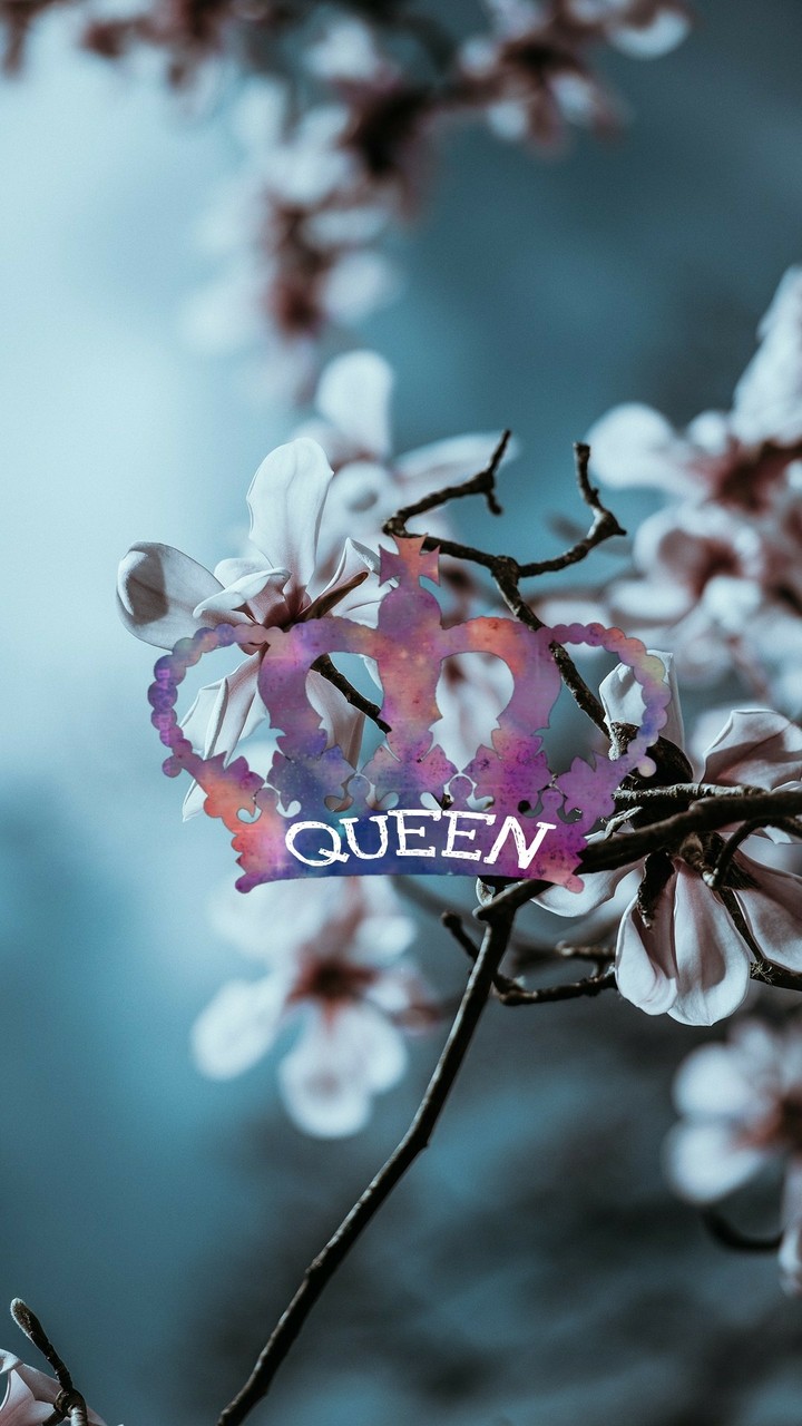 Queen