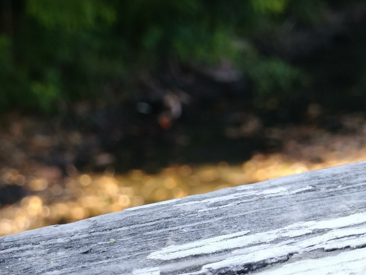 simple but kinda pretty