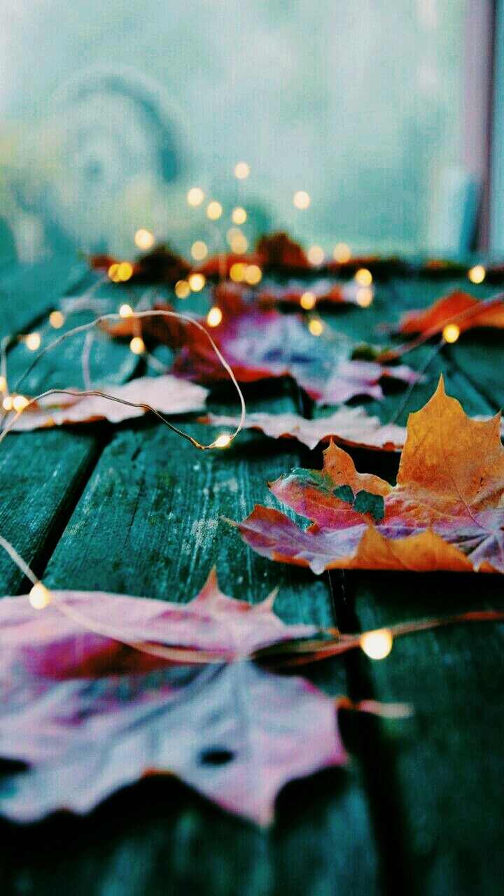 Autumn