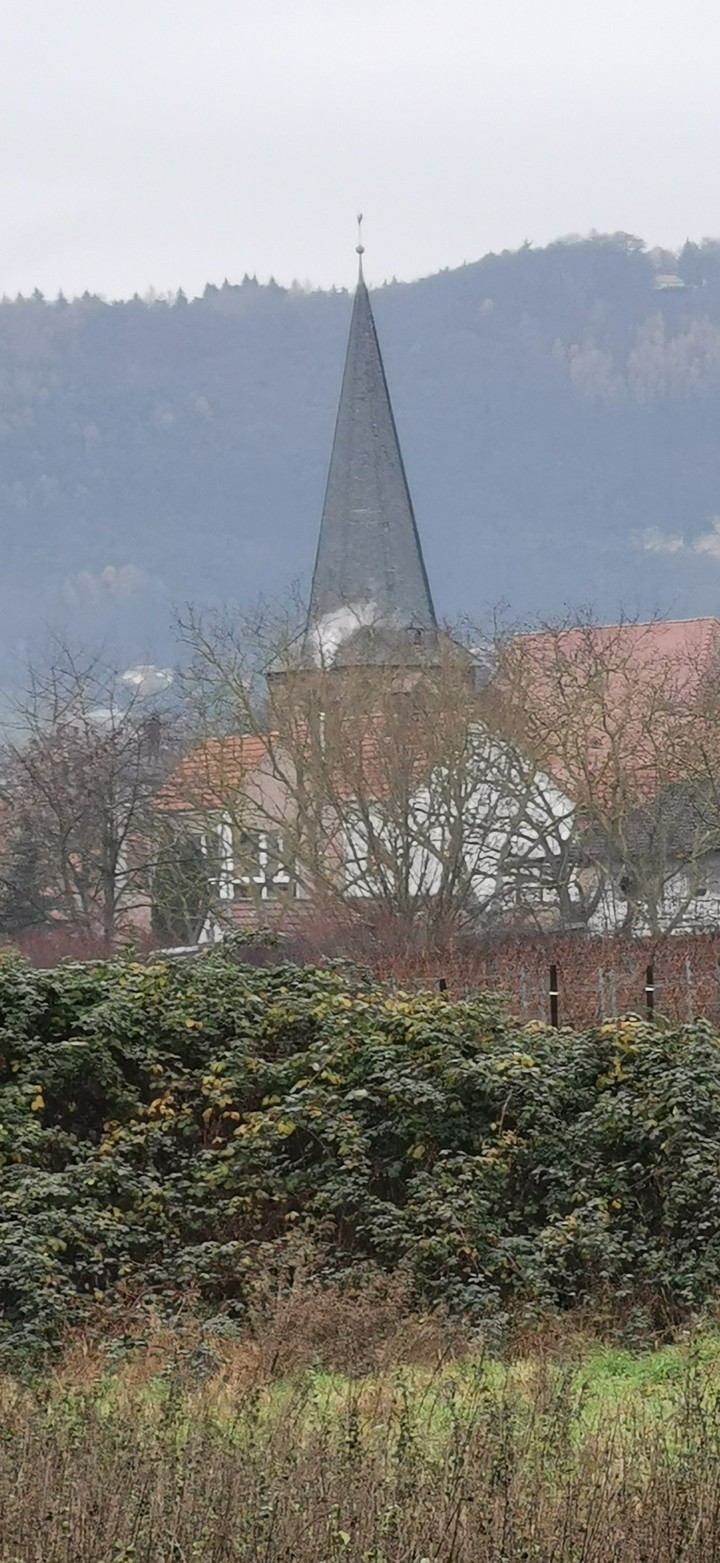 Landau  niemcy