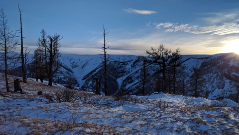 winter landscape