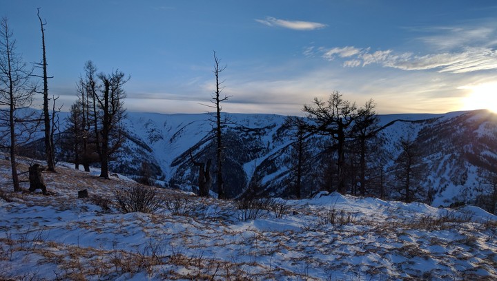 winter landscape