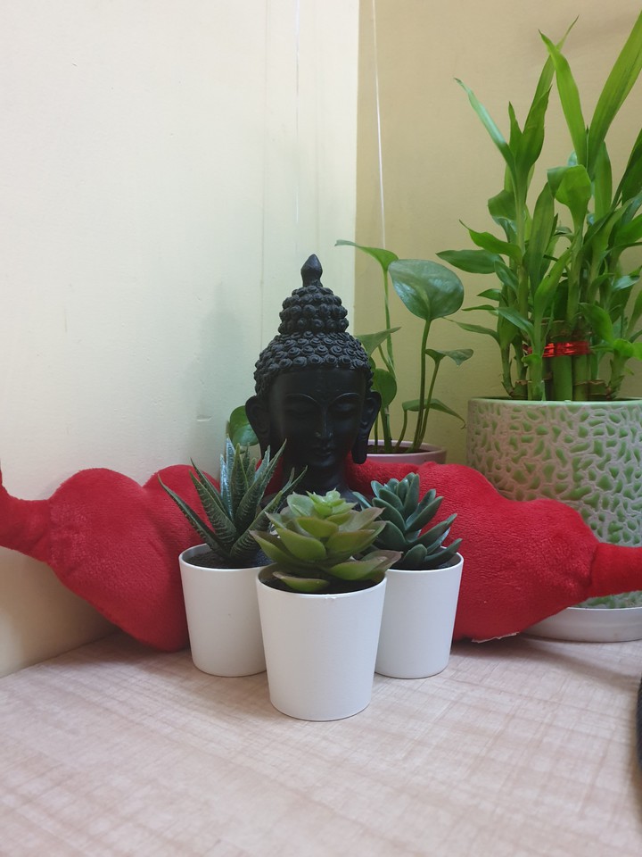 MyHome