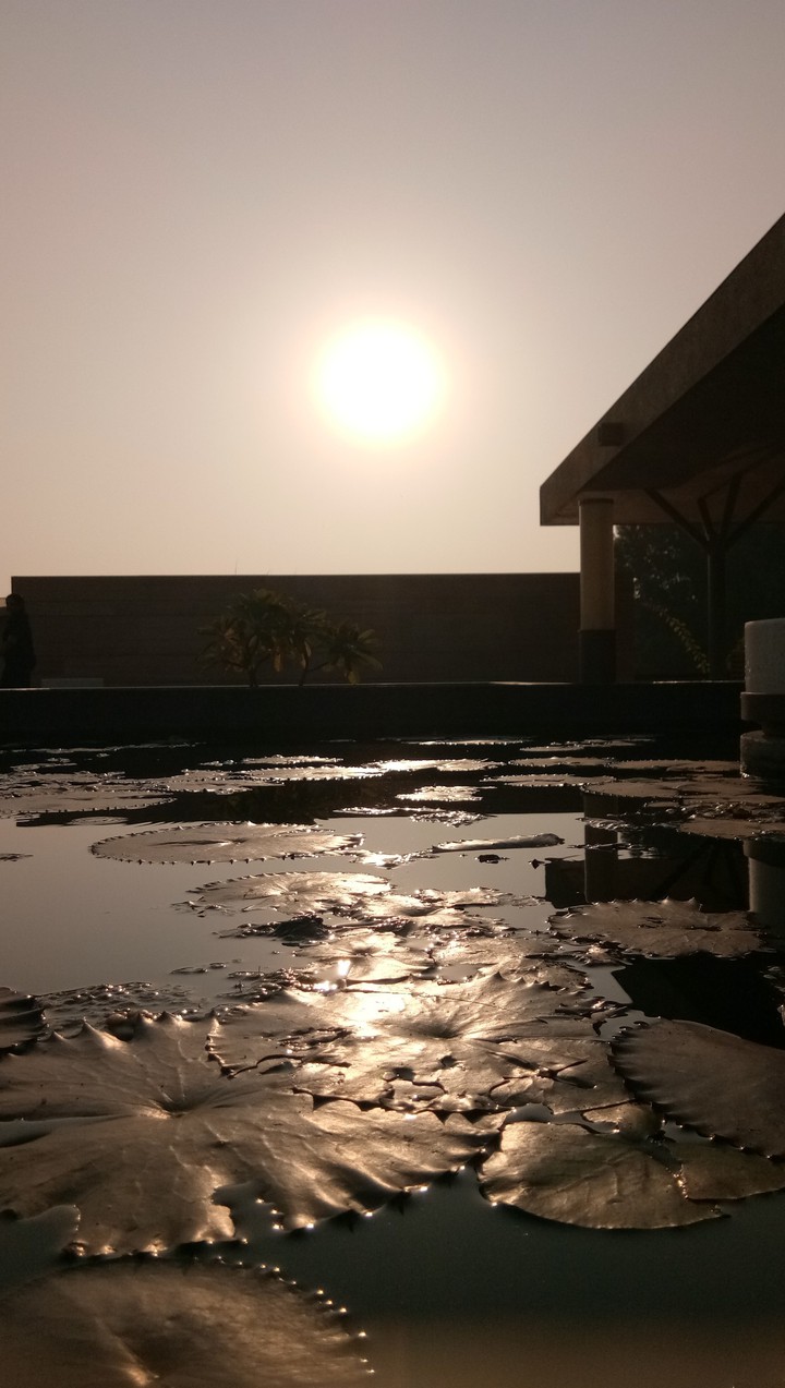 sunrise