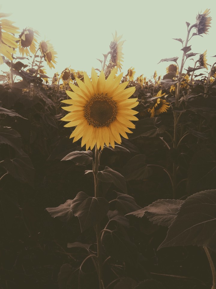 Second post!