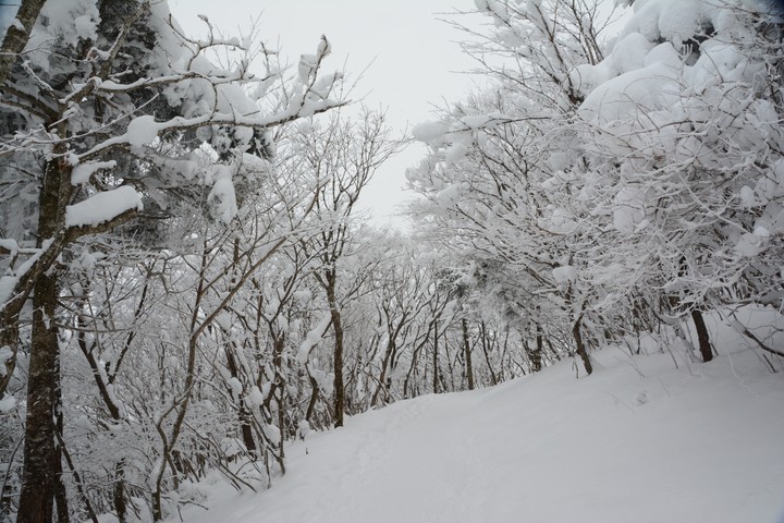 태백산이미지