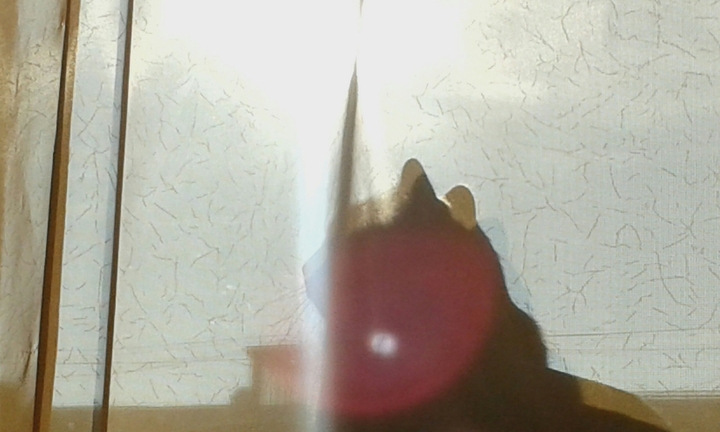 Siluetto