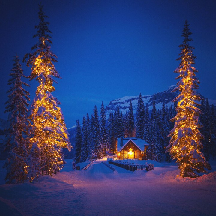 winternight