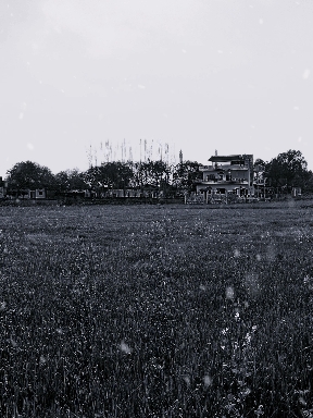 My Village Edited
