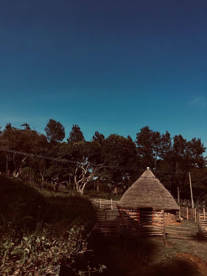 heaven confined to hut