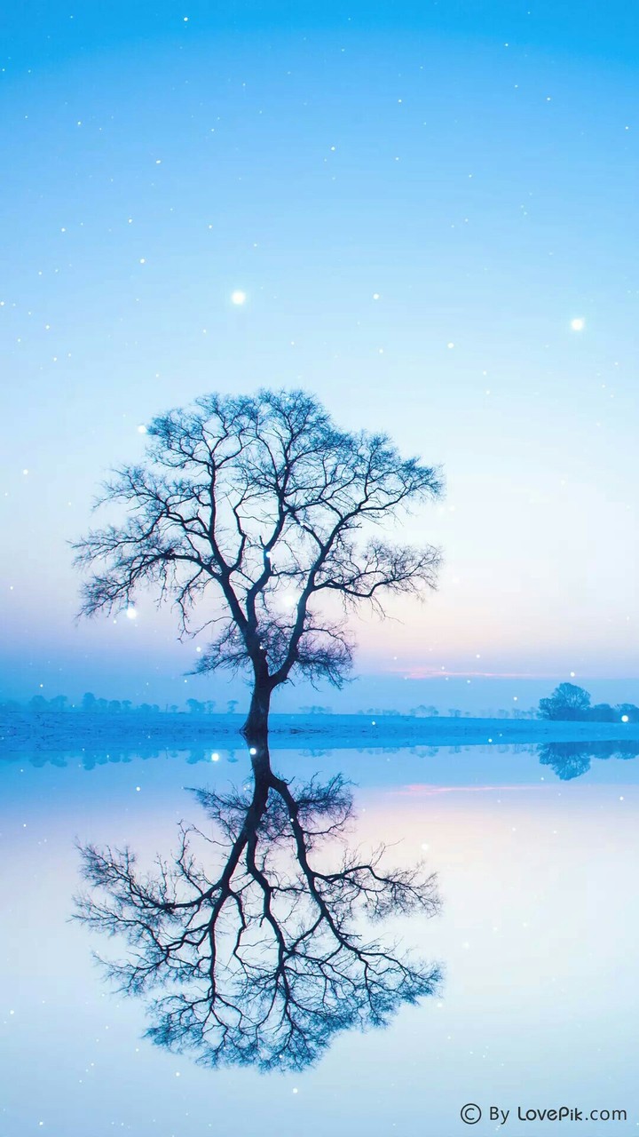 beautiful