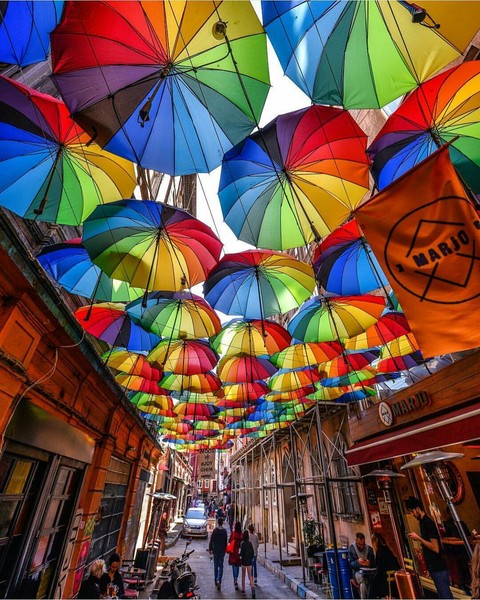 umbrella