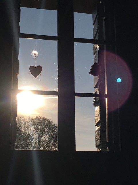 morning.