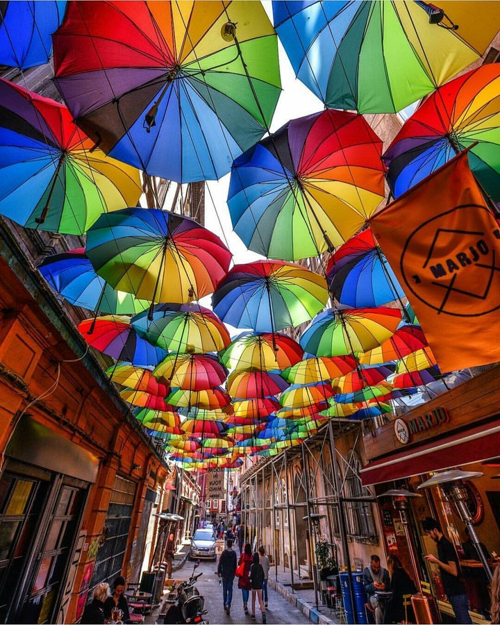 umbrella