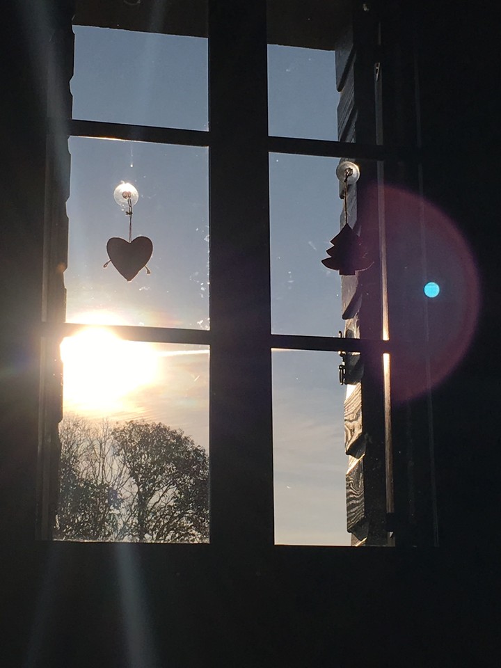 morning.