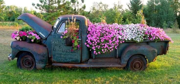 flower fuel