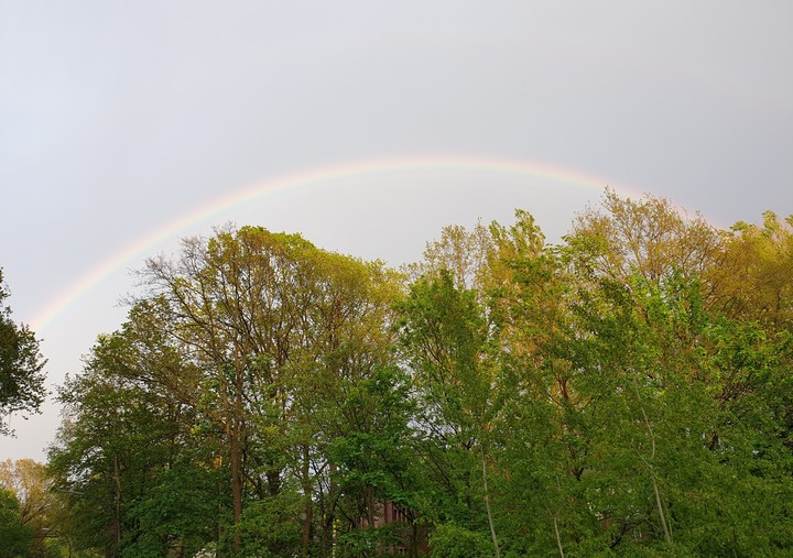 ? rainbow