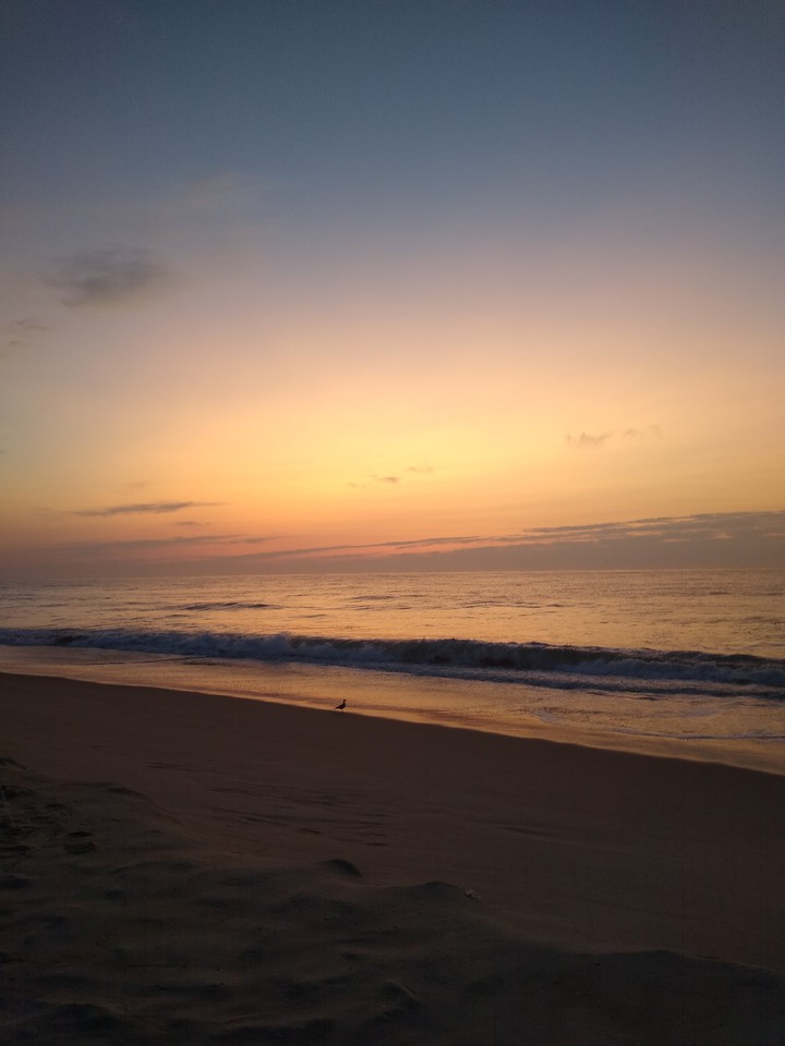Good Morning
