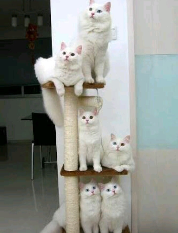 so....cute