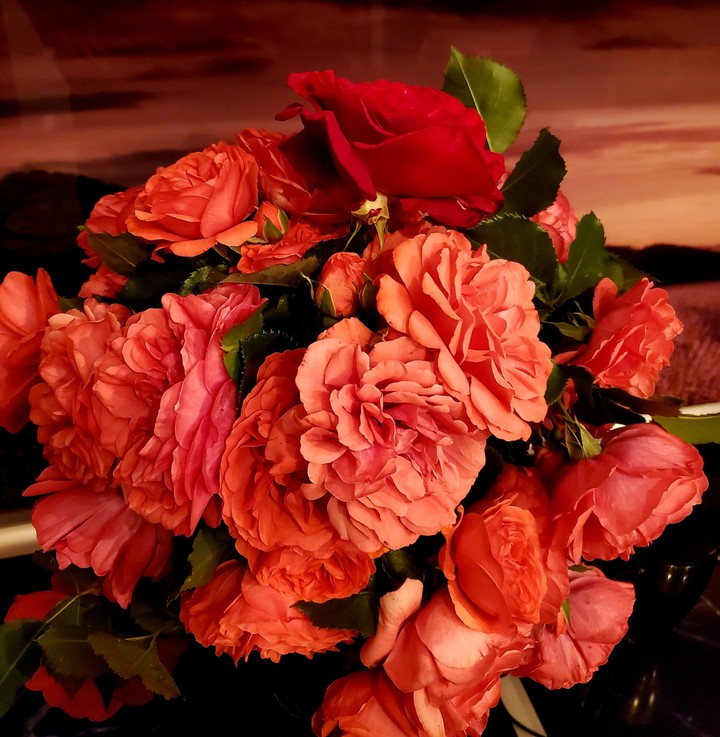 roses