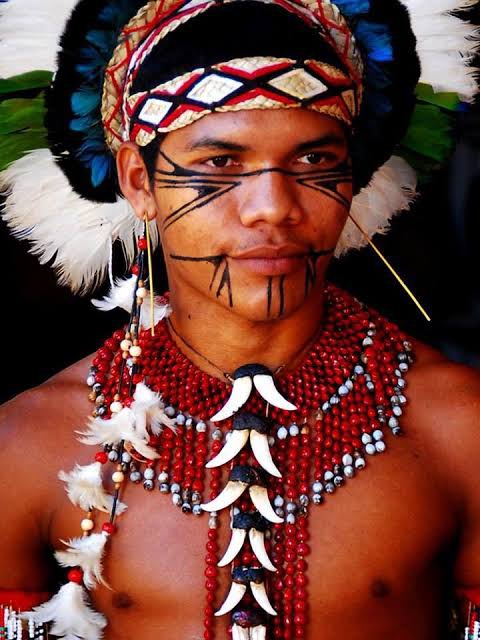 Brazilian Indian
