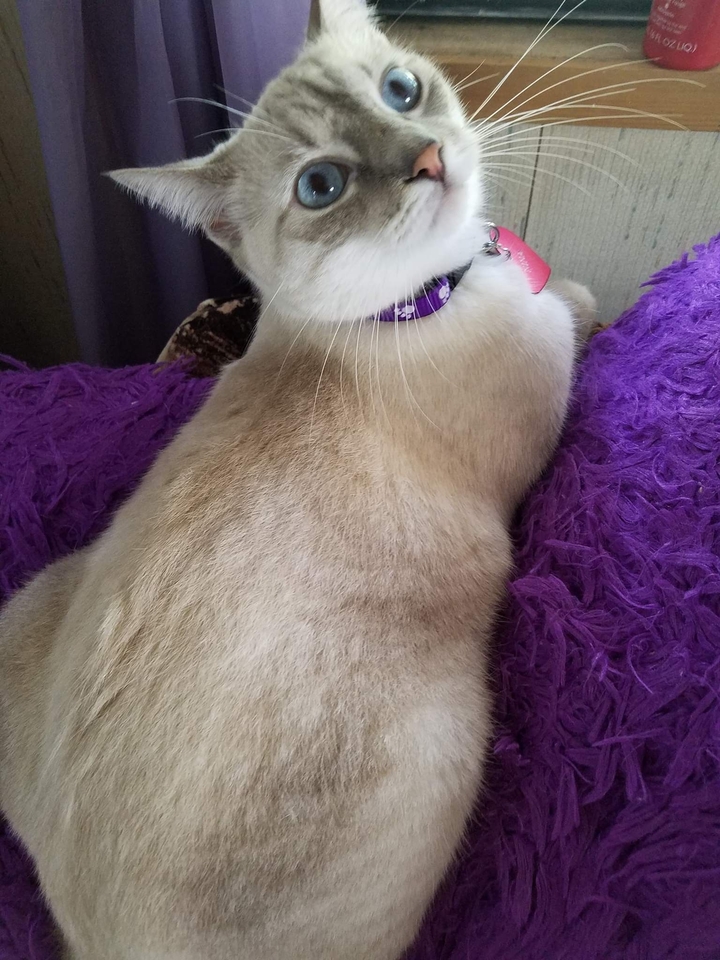 Nina