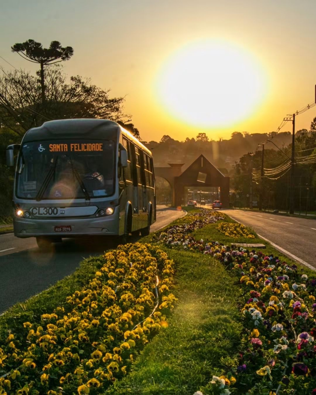 обои road, transport
