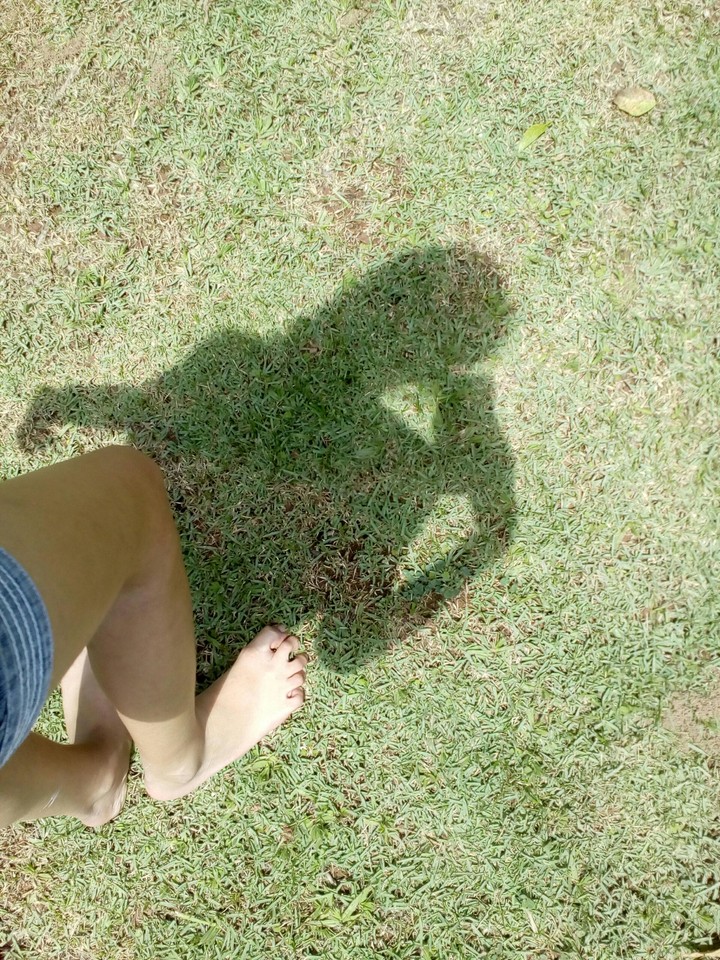 Sombra de mim