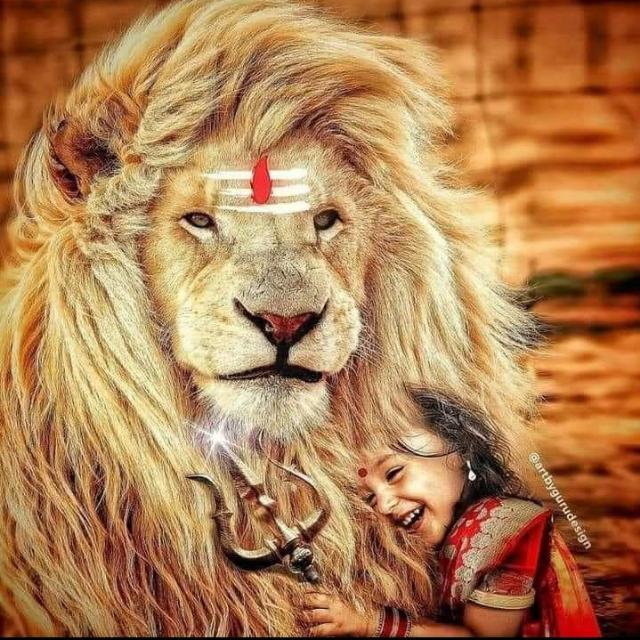 lion