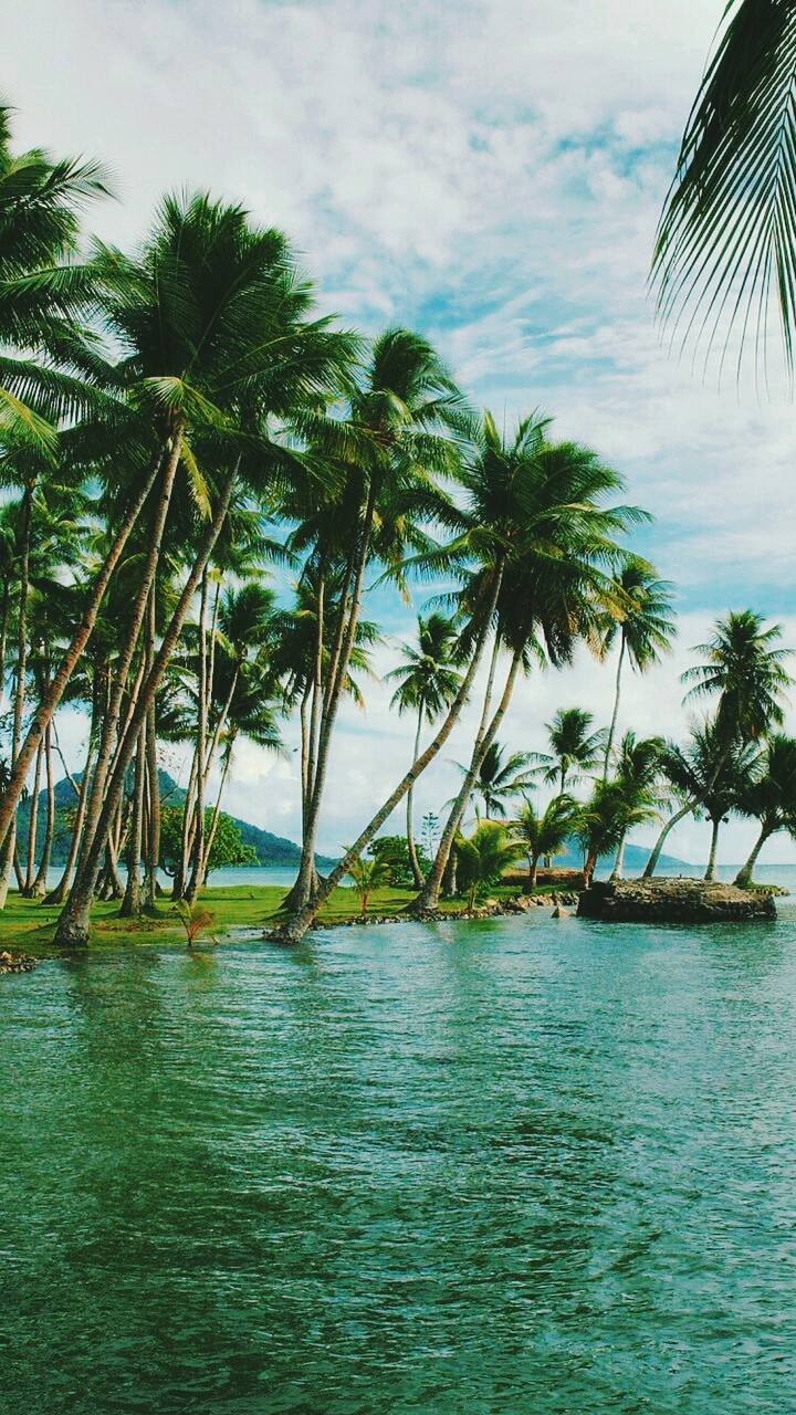 #nature