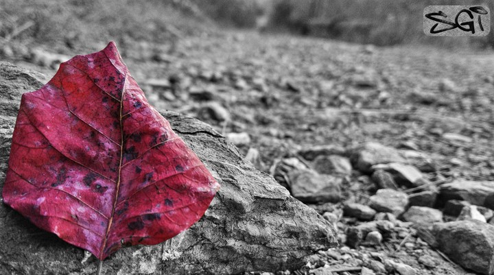 On The Cold Ground