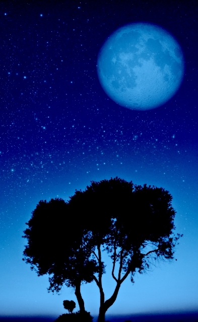 blue tree