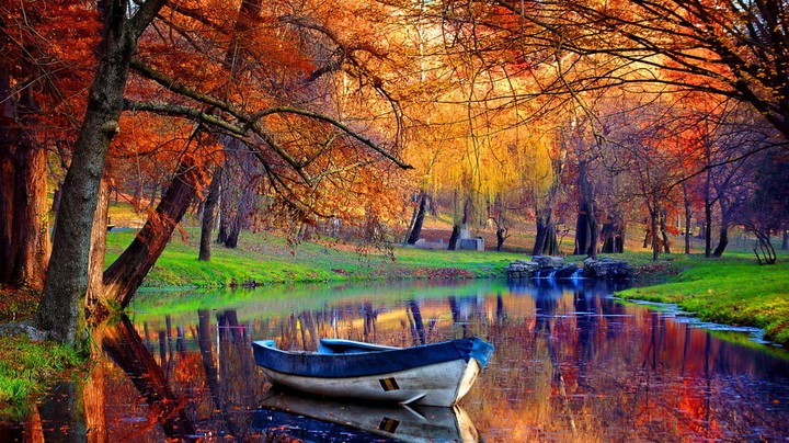 Autumn has come...