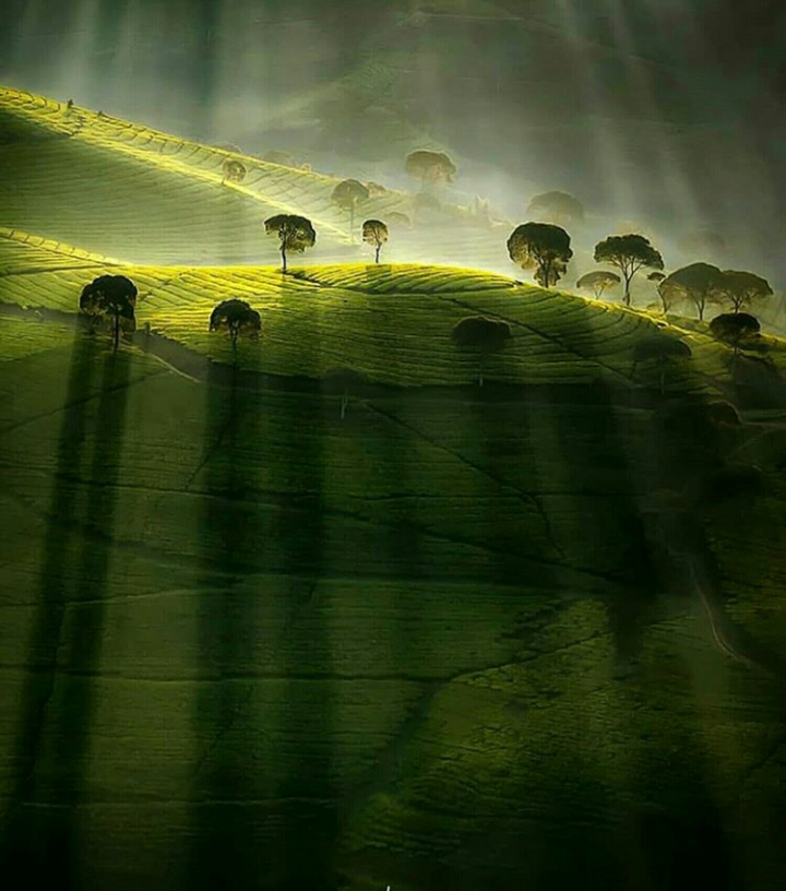 green hill??