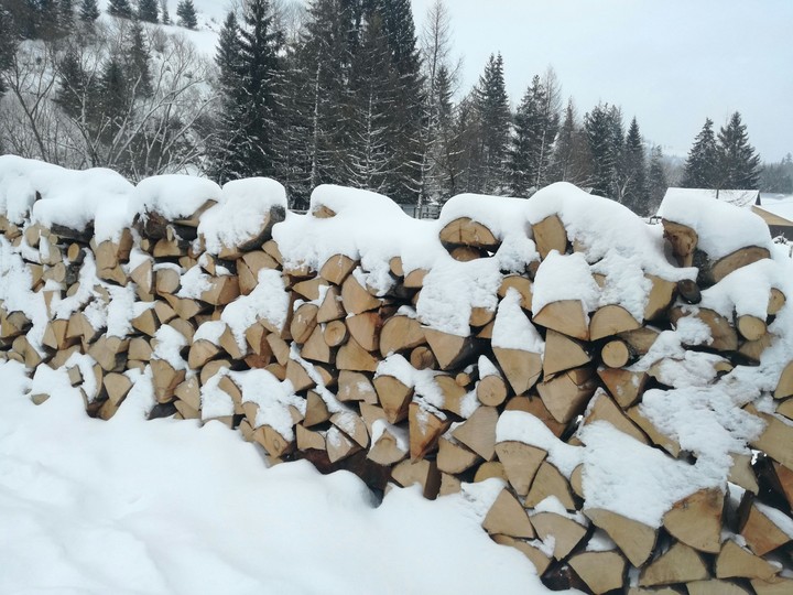 snowy logs