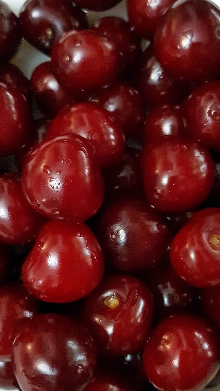 sourecherry